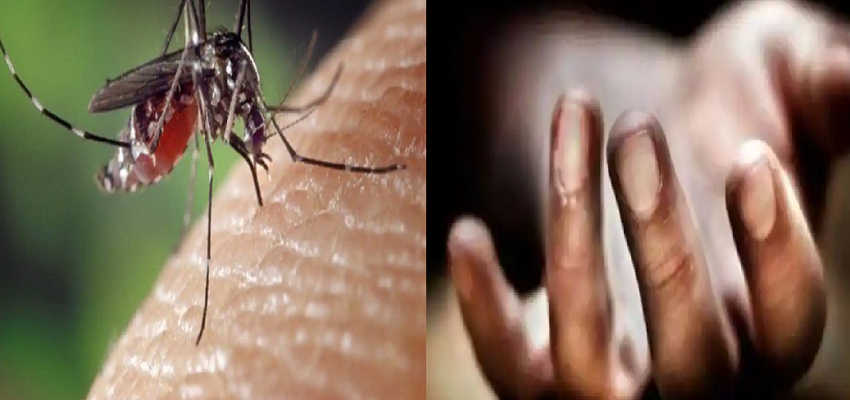 बच्चों में बढ़ा जापानी इंसेफेलाइटिस का खतरा, जानें क्या है लक्षण