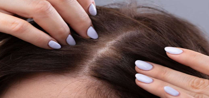 Hair Growth Remedies: मजबूत और स्वस्थ बालों के लिए 3 भारतीय सुपर फूड का करें सेवन