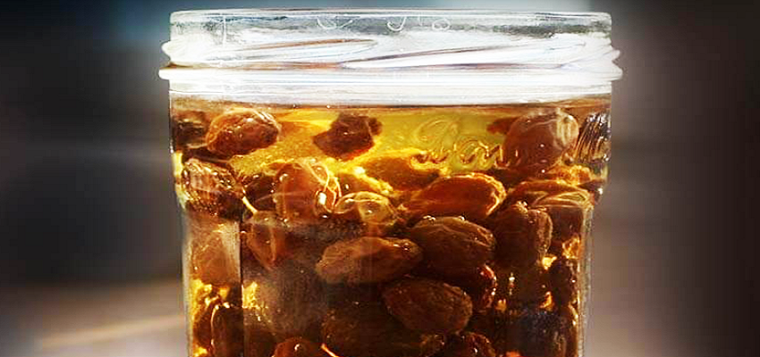 मुनक्के ही नहीं उसका पानी भी है शरीर के लिए चमत्कारी, इस तरह करें सेवन