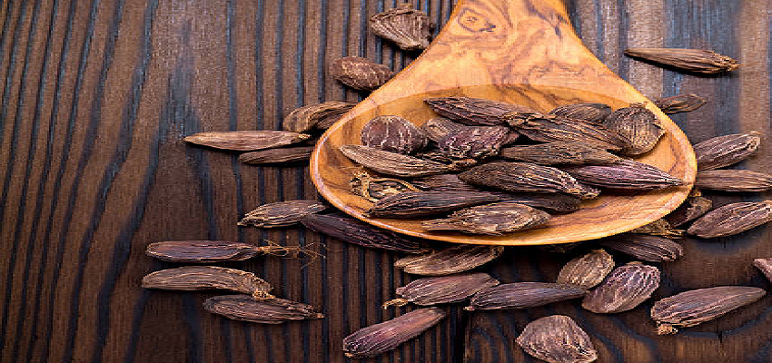 इलायची के सेवन से शरीर को होते है ये चमत्कारी फायदे, जानें कैसे