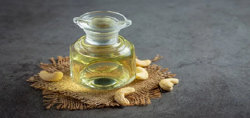 कमजोर हड्डियों के लिए रामबाण है काजू का तेल, इस तरह करें इस्तेमाल