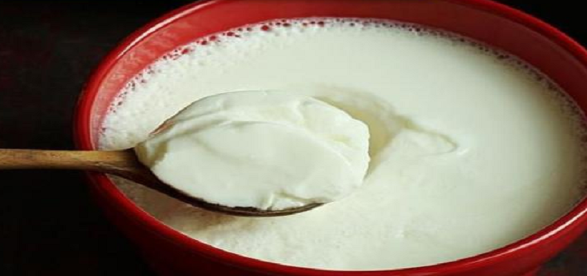 क्या आप भी है दही के शौकीन? जानें दही से जुड़े 5 फायदे
