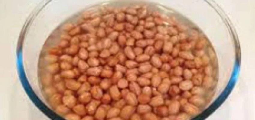 भीगे हुए मूंगफली खाने से होते हैं कई फायदे, इन बीमारियों से रखता है दूर