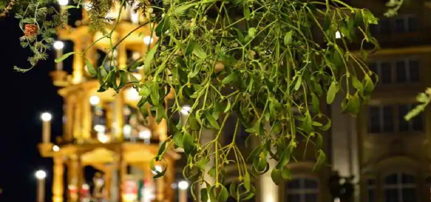 MERRY CHRISTMAS: जानें आखिर क्या है क्रिसमस की इस रोमांटिक परंपरा के पीछे की कहानी