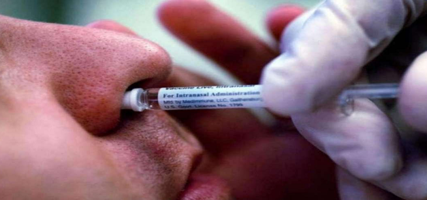 आखिर क्या है नेजल वैक्सीन? जानें कितना सुरक्षित है यह टीका