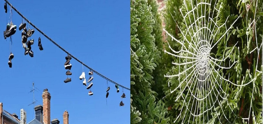 कहीं चलते हैं जूते...तो कहीं मकड़िया बनाती है जाल, जानें दुनिया भर में कैसे मनाया जाता है क्रिसमस का त्योहार