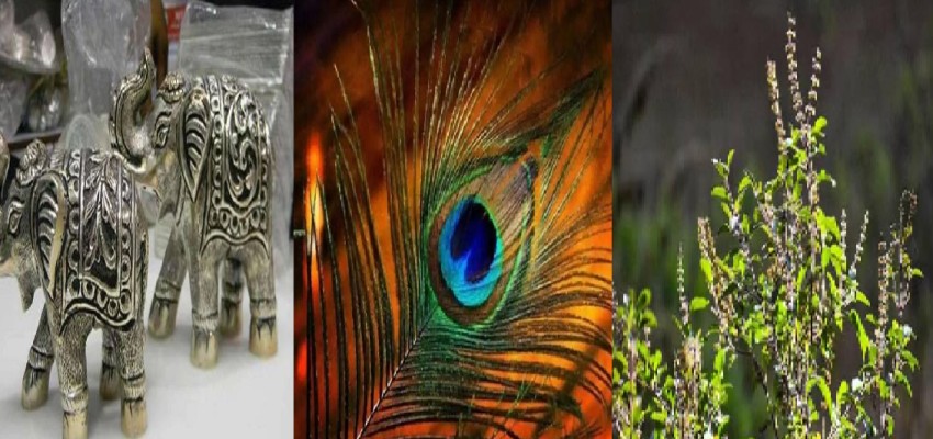 NEW YEAR पर घर लाएं ये चीजें, होगी पैसों की बारिश