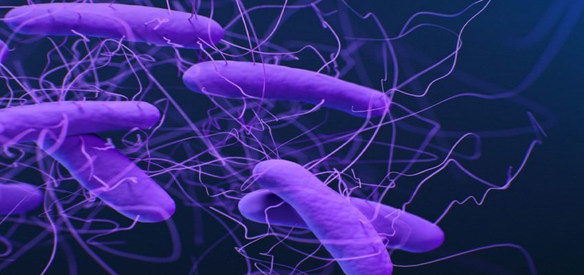 एक और खतरनाक बीमारी ने WHO की बढ़ाई चिंता! हर साल ले सकता है 1 करोड़ लोगों की जान