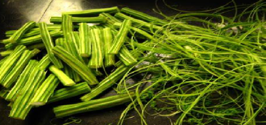 ड्रमस्टिक के सेवन से बीमारियां होंगी छूमंतर, जानें क्या है इसके फायदे