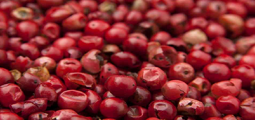 आंखों की रोशनी से लेकर हृदय रोग को कहें बॉय-बॉय, इस फल के सेवन से होंगी गंभीर बीमारियां दूर