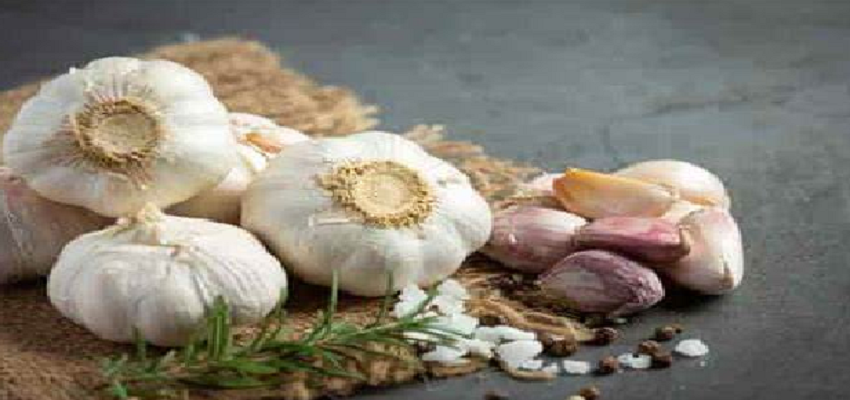 कच्चा लहसुन खाने से शरीर को होते है ये फायदे, कई गंभीर बीमारियों को रखता है दूर
