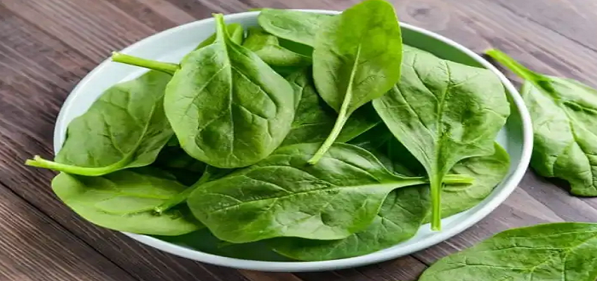 HEALTH TIPS: पालक खाने से जा सकती है आपकी जान! इन बातों का रखे ख्याल