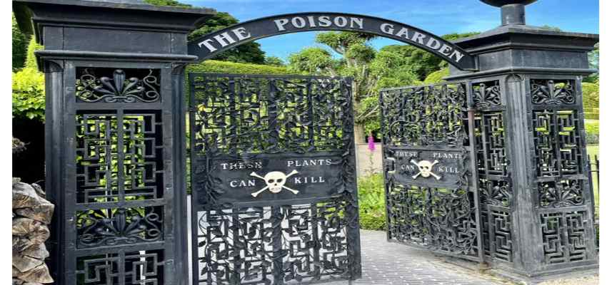 दुनिया का सबसे खतरनाक बगीचा, जहां सांस लेना सख्त है मना!