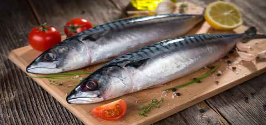 जहरीली हो रही हैं झीलों और नदियों की मछलियां, स्टडी में हैरान करने वाला खुलासा