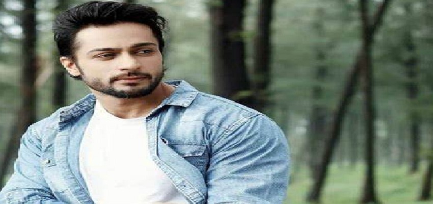 शालीन भनोट के हाथ लगा जैकपॉट, इस डायरेक्टर ने किया वेब सीरीज के लिए साइन