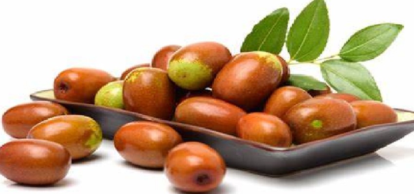 बेर खाने से होते है कई लाभकारी फायदे, इस गंभीर बीमारियों का होगा सफाया