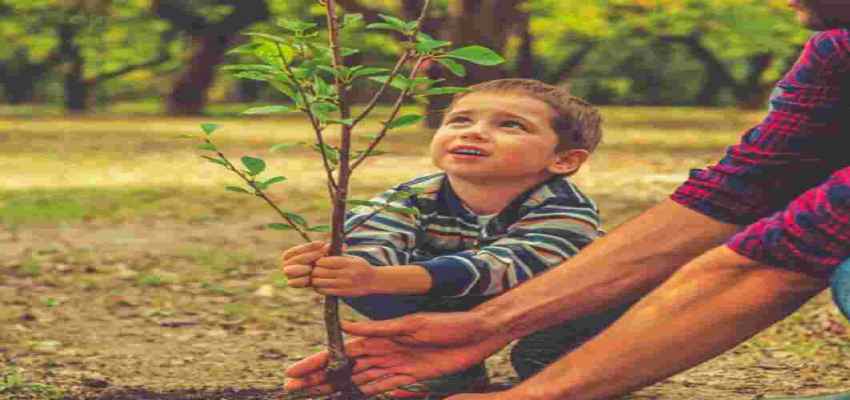 इस राज्य ने शुरू की अनोखी पहल, हर बच्चे के जन्म पर लगाए जाएंगे 100 पेड़