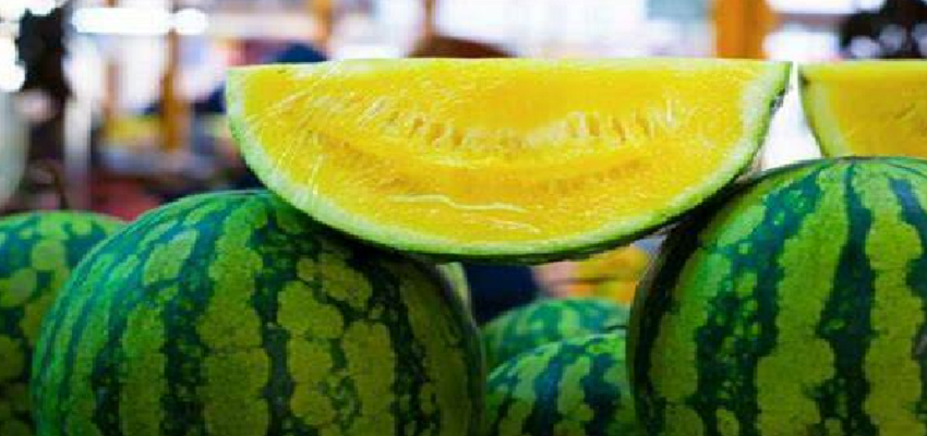 पीले तरबूज से मिलते है गजब के फायदे, पाचन तंत्र से लेकर कई बीमारियां होती है दूर