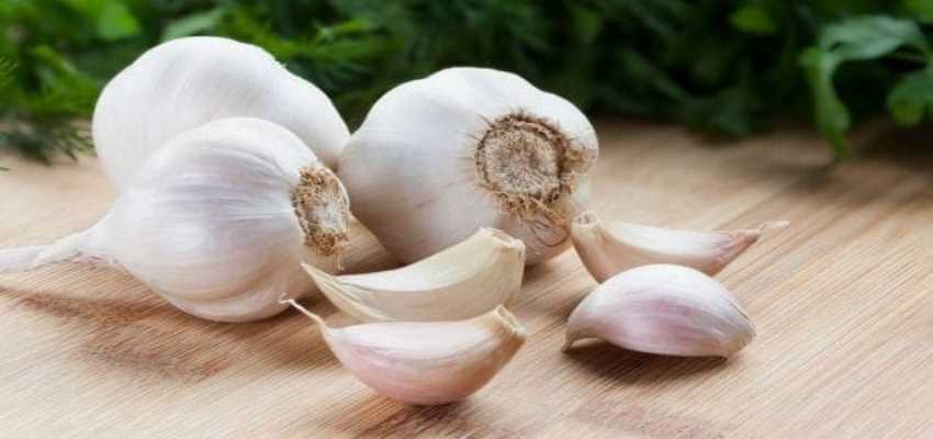 Garlic: इन 5 समस्याओं में नहीं करना चाहिए लहसुन का इस्तेमाल