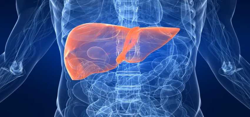 Yoga For Healthy Liver : इन योगासन से फैटी नहीं होगा लिवर, आज से ही करें शुरू
