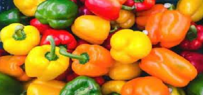 क्या आप भी इस सब्जी से करते है परहेज, तो जान लें इसके अद्भुत फायदे