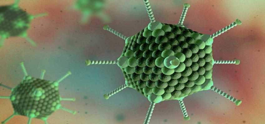 Adenovirus के कहर से बच्चों को बचाएं, जानें वायरस के लक्षण और बचाव