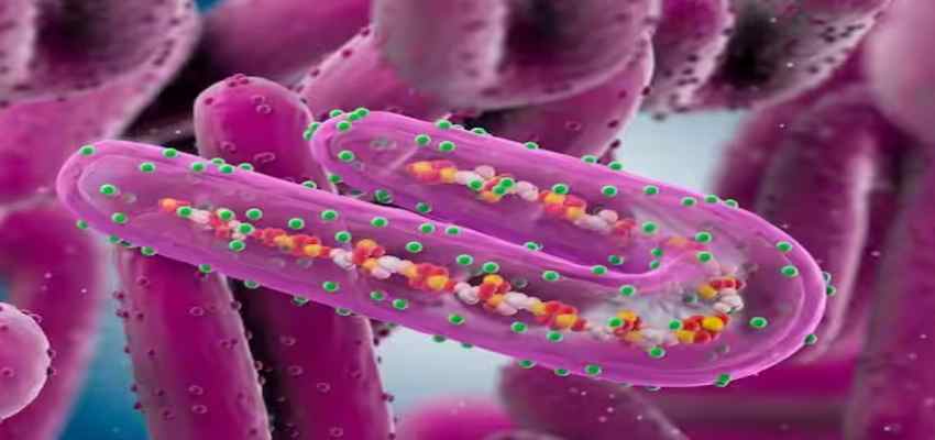 Adenovirus: नए वायरस से दुनियाभर में मचा हड़कंप! जानें क्या है इसके लक्षण