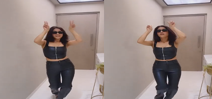 एक बार फिर शहनाज गिल का दिखा कातिलाना अंदाज, फैंस ने जमकर लुटाया प्यार