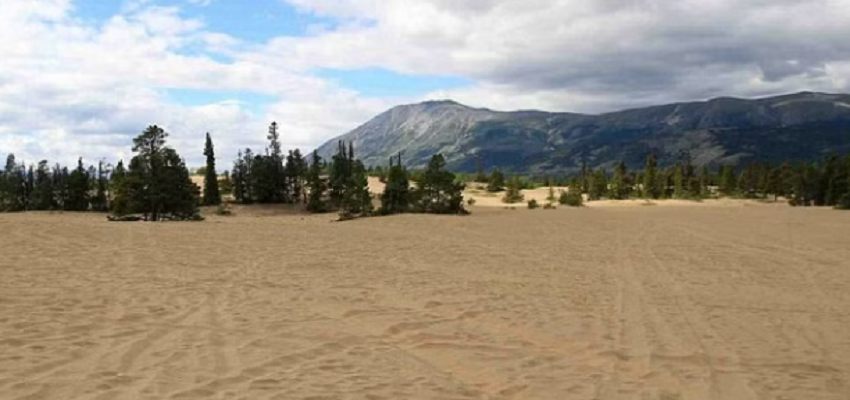 दुनिया का सबसे छोटा रेगिस्तान जहां ठंड के समय होती है बर्फबारी!