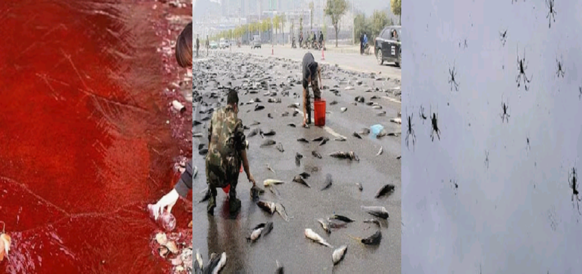 AJAB-GAJAB: दुनिया की वो रहस्यमयी घटनाएं, जिन्होंने वैज्ञानिकों को सोचने पर कर दिया था मजबूर