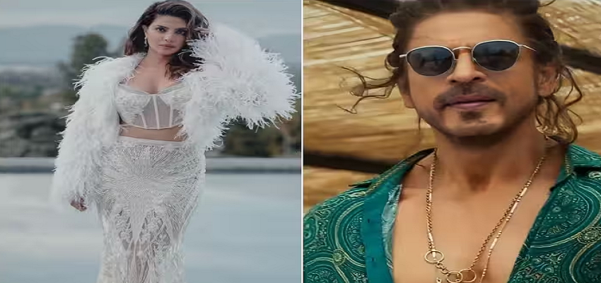 हॉलीवुड को लेकर किंग खान ने प्रिंयका चोपड़ा पर किया था कमेंट, अब एक्ट्रेस ने तोड़ी चुप्पी