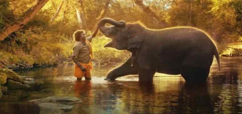 'The Elephant Whispers' को एक और ट्रॉफी से किया गया सम्मानित, खुशी की लहर में डूबे फैंस