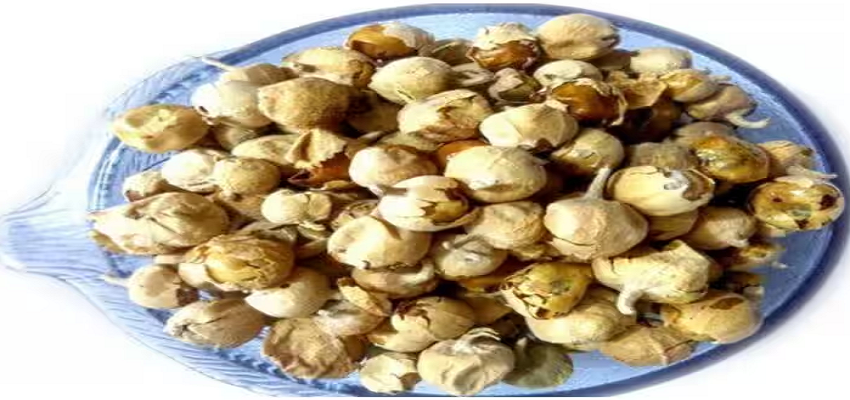 डायबिटीज के मरीजों के लिए संजीवनी बूटी है ये फूल, जानें इसके फायदे