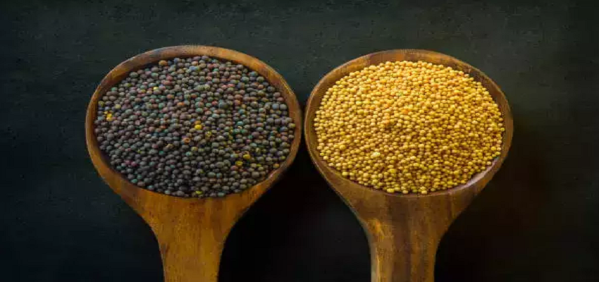 एक सरसों का दाना दिल की बीमारी से लेकर कैंसर को दे सकता है बुलावा, इस तरह रहे सावधान