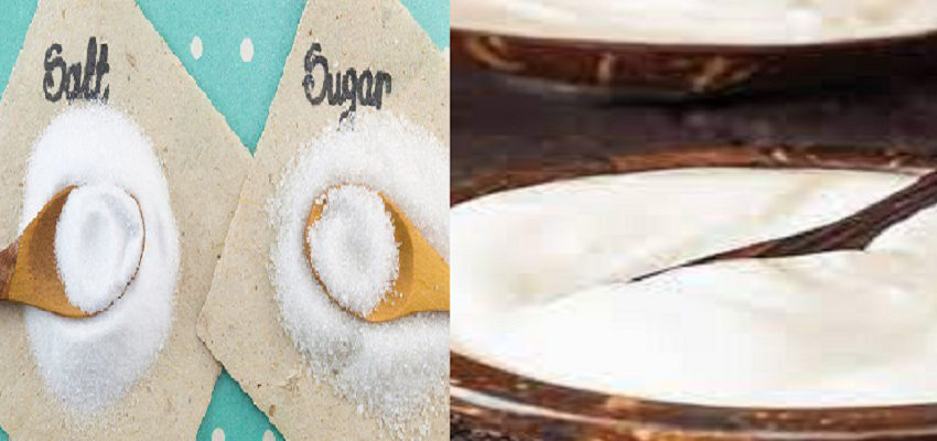 दही में क्या मिलाना चाहिए नमक या चीनी? जानें किससे मिलता है सबसे ज्यादा फायदा