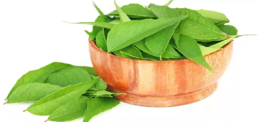 आंखों की रोशनी बढ़ाने से लेकर डायबिटीज की बीमारी होगी खत्म, इस पत्ते के सेवन से मिलेगा चमत्कारी फायदा