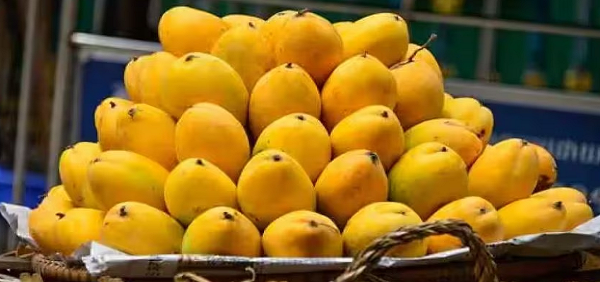 Mango Price : अब EMI पर मिलेगा फलों का राजा, घर बैठे होगी ऑनलाइन सप्लाई