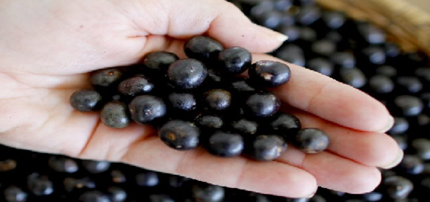 रोजाना इस फल के 2 दानों का करें सेवन, त्वचा से लेकर सेहत तक है फायदेमंद