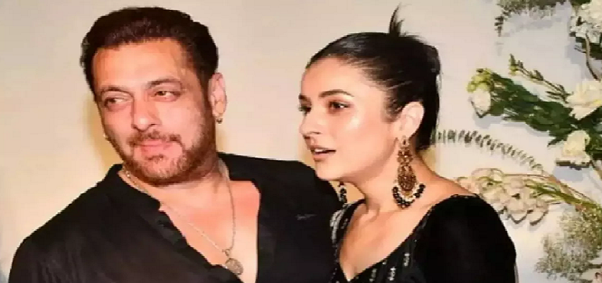 शहनाज गिल के फैंस को ये क्या कह गए सलमान खान, लोग भी हुए हैरान