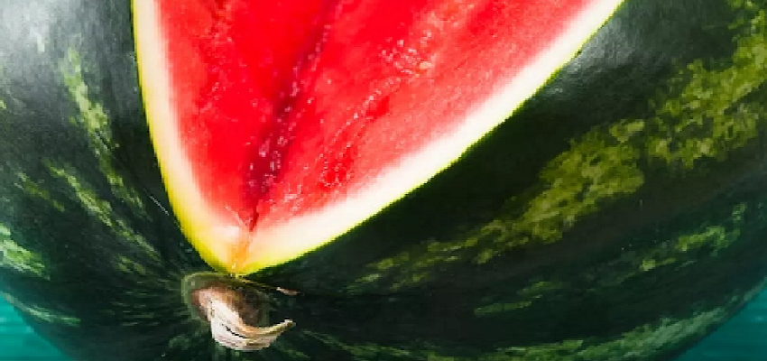 तरबूज के छिलकों होते है कई पोषक तत्व, कैंसर समेत इन बीमारियों को करता है खत्म