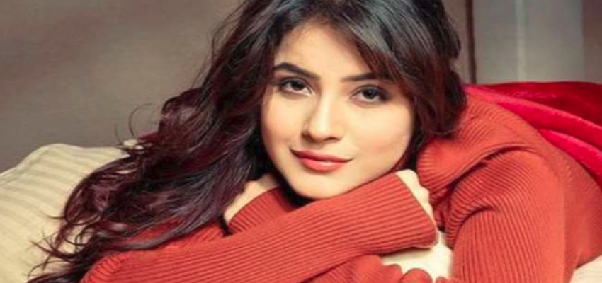 Shehnaz Gill: किसी का भाई किसी की जान के बाद शहनाज इस फिल्म में आएंगी नजर, किया खुलासा