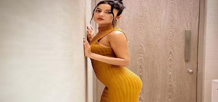 बिग बॉस को लेकर शहनाज गिल का बड़ा खुलासा, अदाकारा के साथ रियलिटी शो में हुआ था ये काम