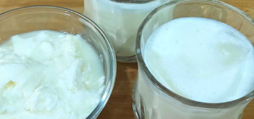 दही या लस्सी...गर्मियों में कौन-सी चीज शरीर को देगी सबसे ज्यादा ठंडक, जानें