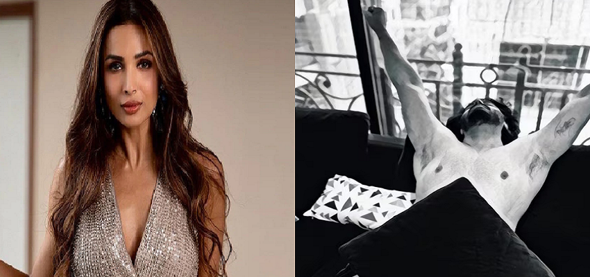 मलाइका ने अर्जुन की हाफ नेकेड में शेयर की फोटो, कैप्शन में लिखा- माई वेरी ऑन लेजी बॉय