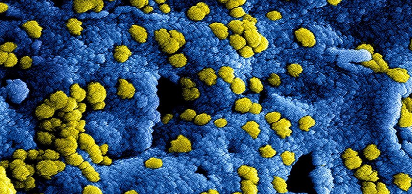 WORLD NEWS : अमेरिका में पैर पसार रहा है ये खतकनाक वायरस, जानें इसके लक्षण