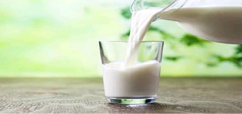 WORLD MILK DAY2023:क्यों मनाया जाता है WORLD MILK DAY, जानें इसका इतिहास