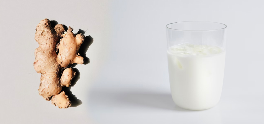 दूध में अदरक मिलकर पीने से शरीर को कितना मिलता है फायदा, जानें