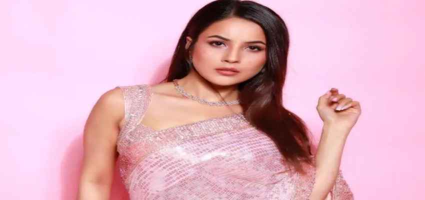 पूरा हुआ शहनाज का सपना, बनी इस ब्रांड की एंबेसडर