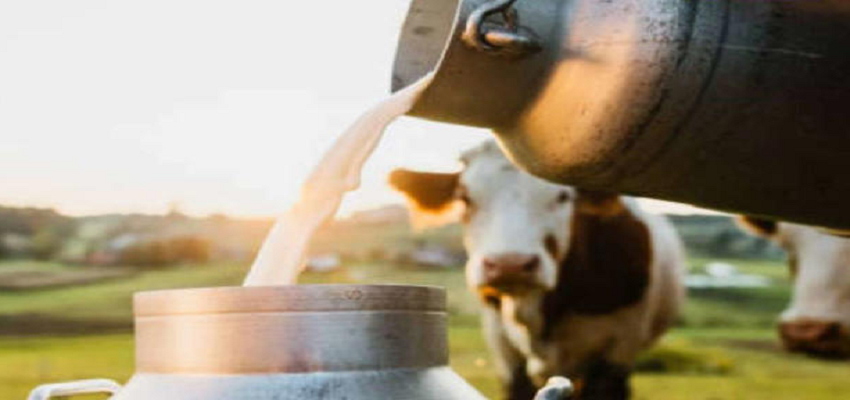 Health Tip: दूध में पानी की मिलावट का कैसे लगाएं पता, FSSAI ने बताया आसान घरेलू तरीका