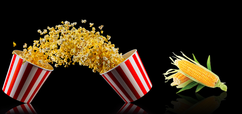MICROWAVE  VS ORGANIC…कौन से  Popcorn शरीर के लिए होते है फायदेमंद, जानें